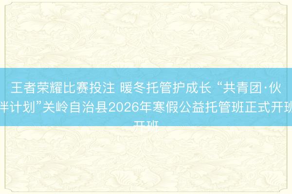 王者荣耀比赛投注 暖冬托管护成长 “共青团·伙伴计划”关岭自治县2026年寒假公益托管班正式开班