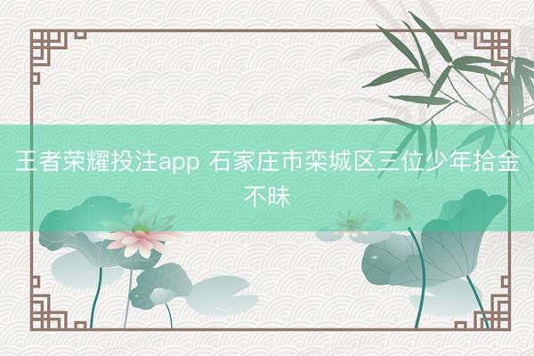 王者荣耀投注app 石家庄市栾城区三位少年拾金不昧