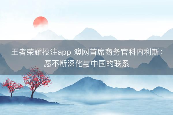 王者荣耀投注app 澳网首席商务官科内利斯：愿不断深化与中国的联系