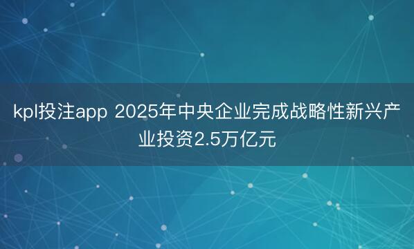 kpl投注app 2025年中央企业完成战略性新兴产业投资2.5万亿元