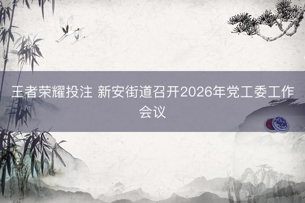 王者荣耀投注 新安街道召开2026年党工委工作会议