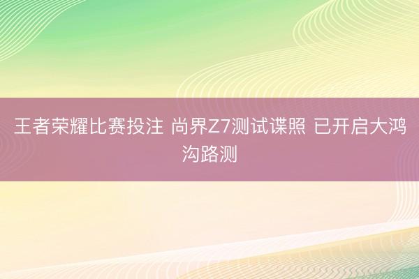 王者荣耀比赛投注 尚界Z7测试谍照 已开启大鸿沟路测