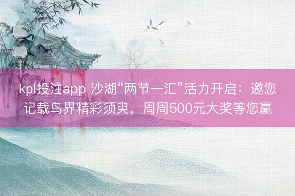 kpl投注app 沙湖“两节一汇”活力开启:邀您记载鸟界精彩须臾,周周500元大奖等您赢