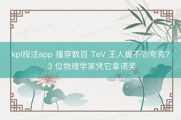 kpl投注app 撞穿数百 TeV 王人握不到夸克? 3 位物理学家凭它拿诺奖