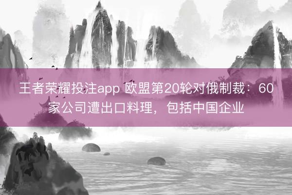 王者荣耀投注app 欧盟第20轮对俄制裁：60家公司遭出口料理，包括中国企业