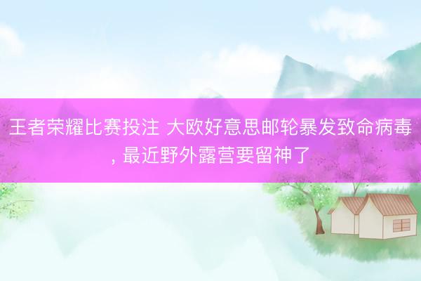 王者荣耀比赛投注 大欧好意思邮轮暴发致命病毒， 最近野外露营要留神了