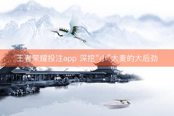 王者荣耀投注app 深挖“小”大麦的大后劲