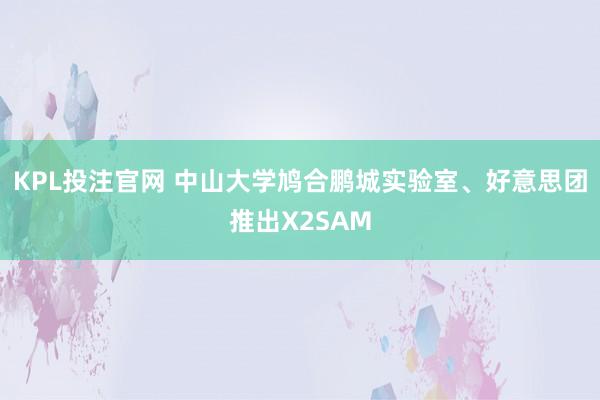 KPL投注官网 中山大学鸠合鹏城实验室、好意思团推出X2SAM