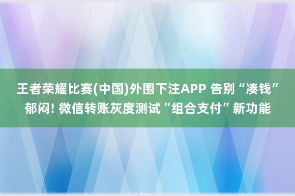 王者荣耀比赛(中国)外围下注APP 告别“凑钱”郁闷! 微信转账灰度测试“组合支付”新功能