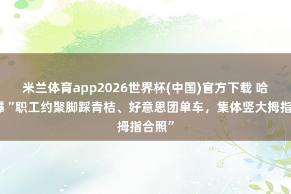 王者荣耀比赛(中国)外围下注APP 哈啰被曝“职工约会脚踩青桔、好意思团单车，集体竖大拇指合照”