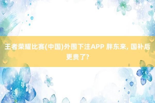 王者荣耀比赛(中国)外围下注APP 胖东来， 国补后更贵了?