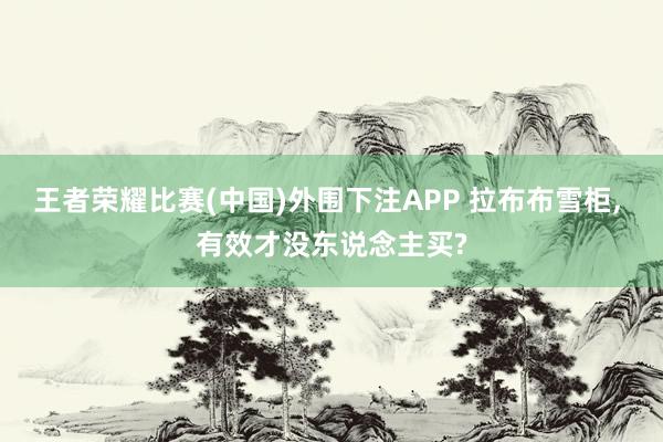 王者荣耀比赛(中国)外围下注APP 拉布布雪柜， 有效才没东说念主买?