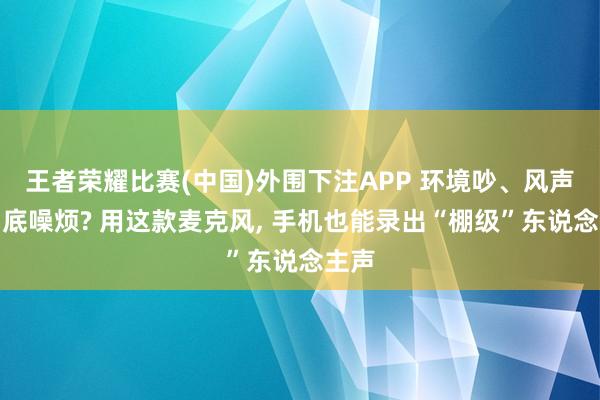 王者荣耀比赛(中国)外围下注APP 环境吵、风声大、底噪烦? 用这款麦克风， 手机也能录出“棚级”东说念主声