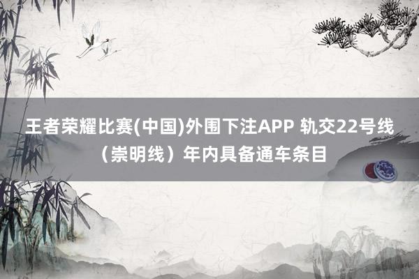 王者荣耀比赛(中国)外围下注APP 轨交22号线（崇明线）年内具备通车条目