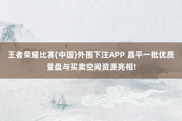 王者荣耀比赛(中国)外围下注APP 昌平一批优质量盘与买卖空间资源亮相!