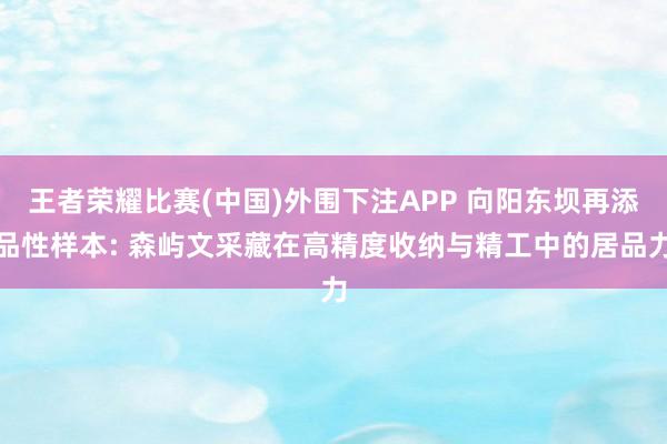 王者荣耀比赛(中国)外围下注APP 向阳东坝再添品性样本: 森屿文采藏在高精度收纳与精工中的居品力