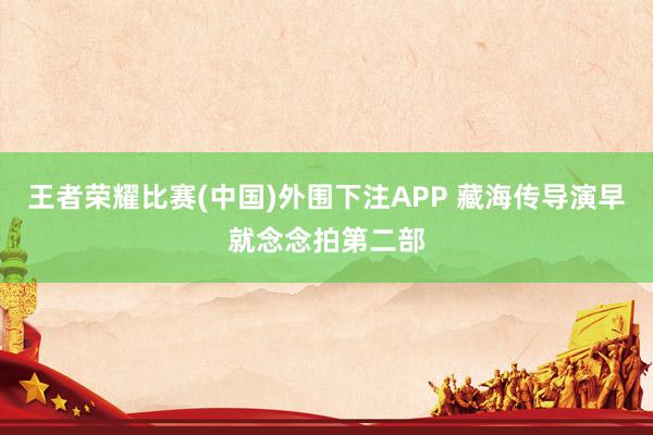 王者荣耀比赛(中国)外围下注APP 藏海传导演早就念念拍第二部