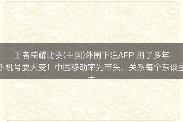 王者荣耀比赛(中国)外围下注APP 用了多年手机号要大变！中国移动率先带头，关系每个东谈主