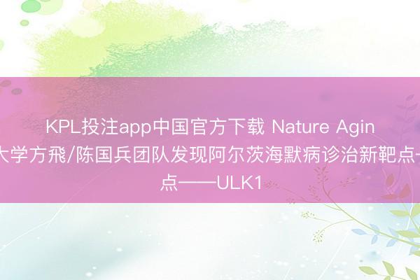 KPL投注app中国官方下载 Nature Aging：暨南大学方飛/陈国兵团队发现阿尔茨海默病诊治新靶点——ULK1