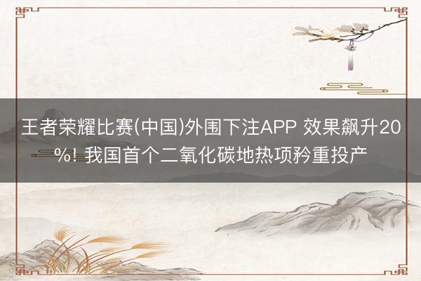 王者荣耀比赛(中国)外围下注APP 效果飙升20%! 我国首个二氧化碳地热项矜重投产