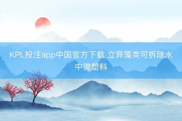 KPL投注app中国官方下载 立异藻类可拆除水中微塑料
