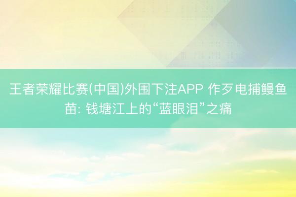 王者荣耀比赛(中国)外围下注APP 作歹电捕鳗鱼苗: 钱塘江上的“蓝眼泪”之痛
