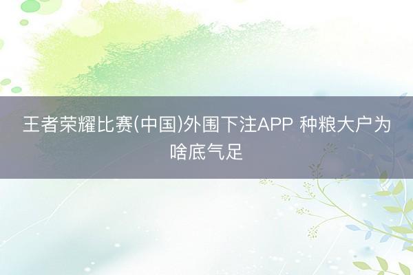 王者荣耀比赛(中国)外围下注APP 种粮大户为啥底气足