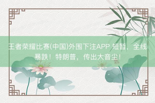 王者荣耀比赛(中国)外围下注APP 短暂，全线暴跌！特朗普，传出大音尘！
