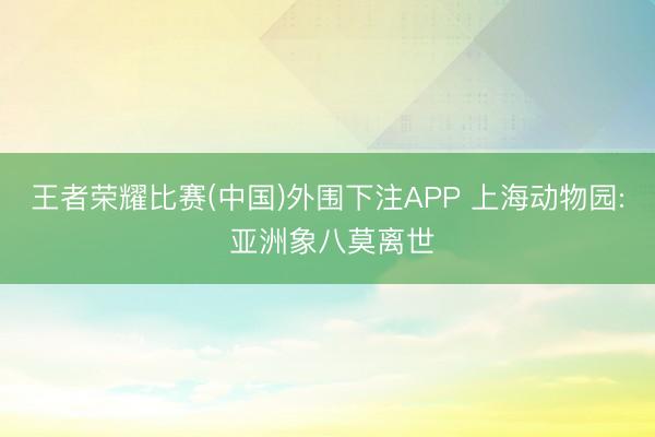 王者荣耀比赛(中国)外围下注APP 上海动物园: 亚洲象八莫离世