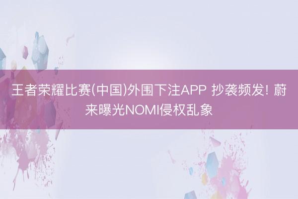 王者荣耀比赛(中国)外围下注APP 抄袭频发! 蔚来曝光NOMI侵权乱象