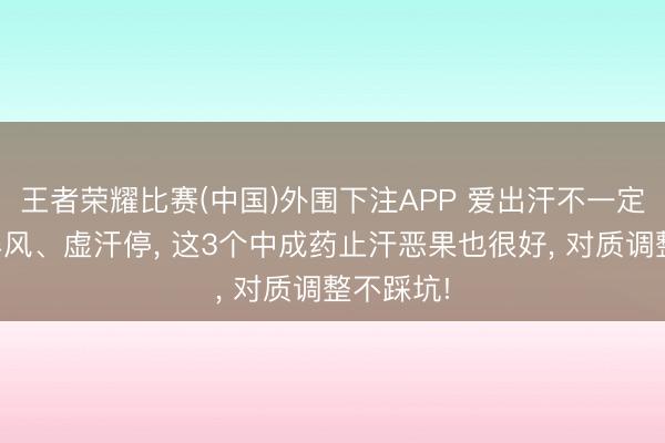 王者荣耀比赛(中国)外围下注APP 爱出汗不一定要用玉屏风、虚汗停， 这3个中成药止汗恶果也很好， 对质调整不踩坑!