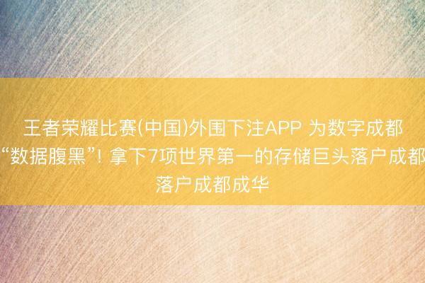 王者荣耀比赛(中国)外围下注APP 为数字成都装上“数据腹黑”! 拿下7项世界第一的存储巨头落户成都成华