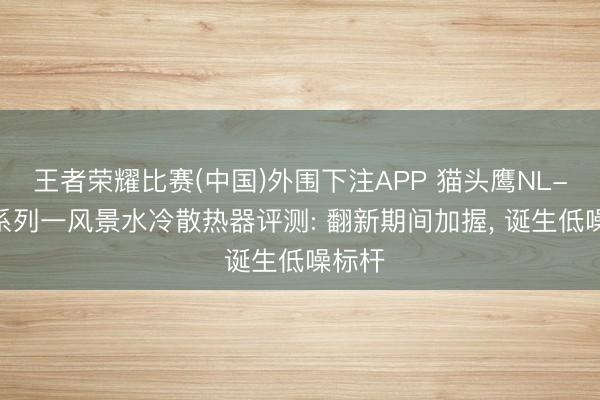 王者荣耀比赛(中国)外围下注APP 猫头鹰NL-LC1系列一风景水冷散热器评测: 翻新期间加握， 诞生低噪标杆