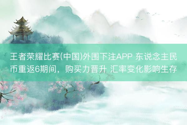王者荣耀比赛(中国)外围下注APP 东说念主民币重返6期间，购买力晋升 汇率变化影响生存